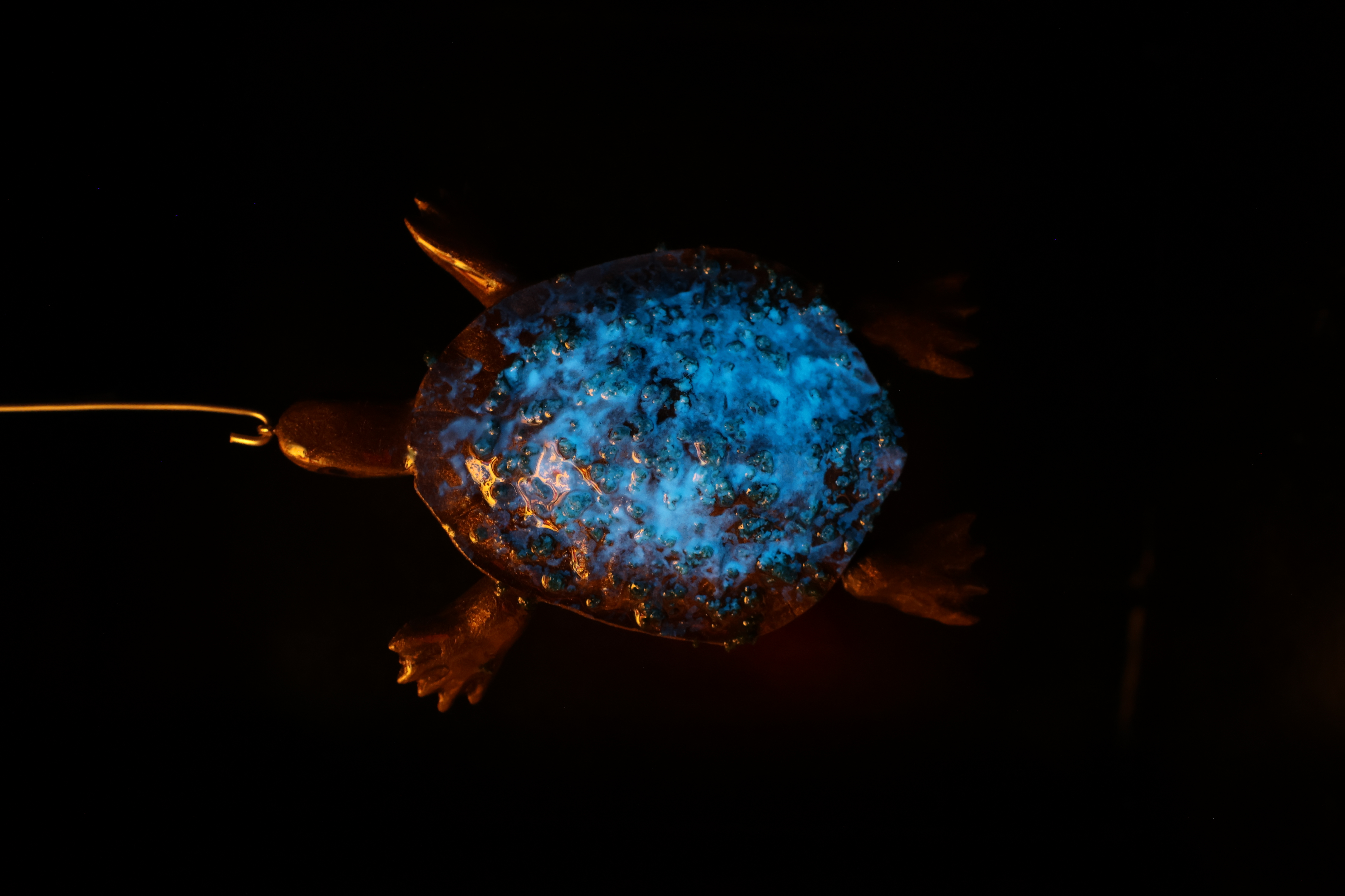 Turtle lure glowing in the dark with a subtle luminescent shell