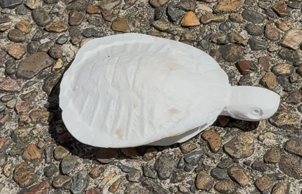Handcrafted turtle lure being built with epoxy resin